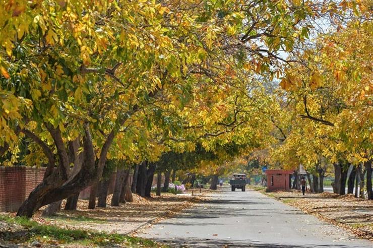 Chandigarh becomes the greenest city in Asia