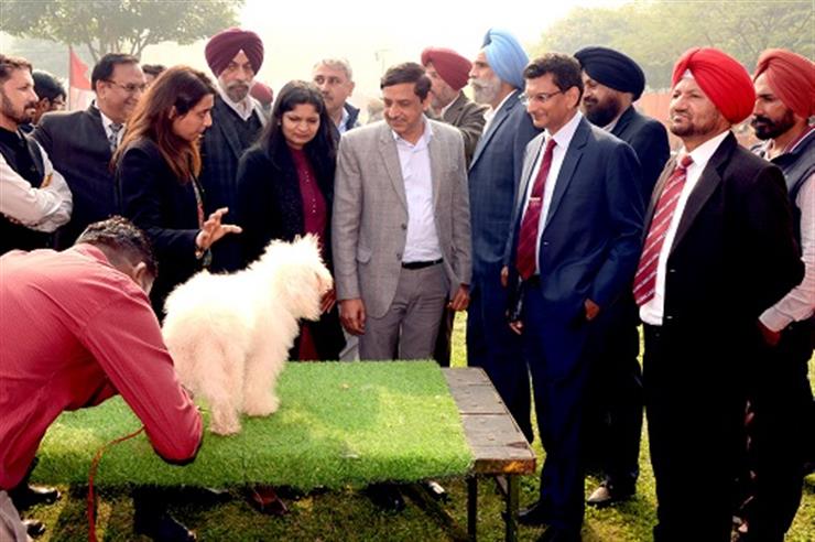 Vet Varsity organizes an Impressive Dog Show Vet Varsity organizes an Impressive Dog Show