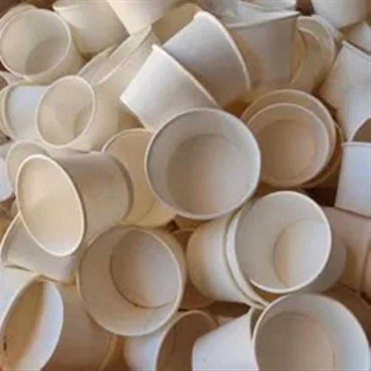 Paper cups as toxic as plastic ones when end up in nature Study