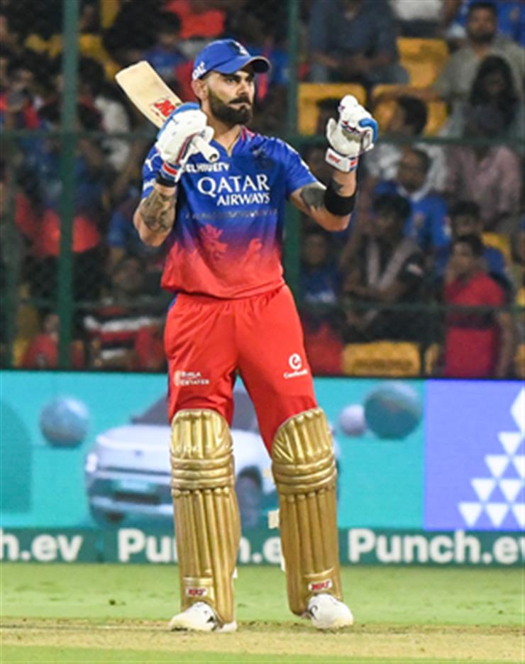 IPL 2024 'Virat would just have to look at KKR dugout to be fired up