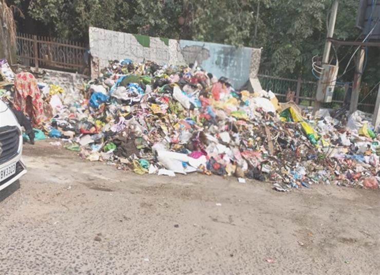 Writ Petition Filed in Punjab and Haryana High Court for Removal of Illegal Garbage Dump at Old Post Office Road, Phagwara