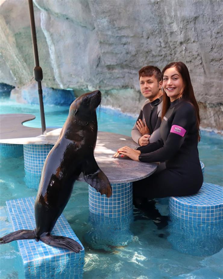 Surbhi Chandna enjoys a playful day with dolphins in Abu Dhabi