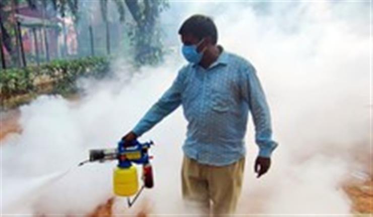 France confirms 1st locally transmitted chikungunya case in 2025