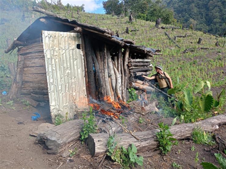 Forest destruction for illegal poppy farming causing Manipur's recurrent floods: Biren Singh