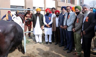 Vet Varsity organizes Nili Ravi Milking Competition and Kisan Mela