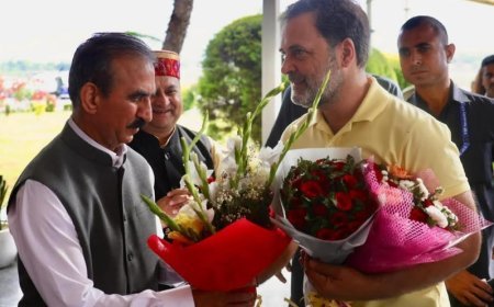 Rahul Gandhi Arrives in Kangra, Attends Congress Training Camp