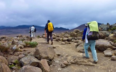 Walking Above the Clouds: A Real Story Guide to Climbing Kilimanjaro