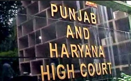 HC directs Punjab govt to clear DA dues within 15 days, restrains it from undertaking large-scale ad campaign