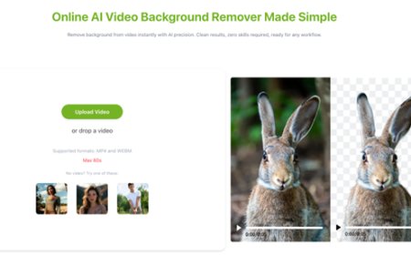 How to Remove Background From Video Using AI Tools Online