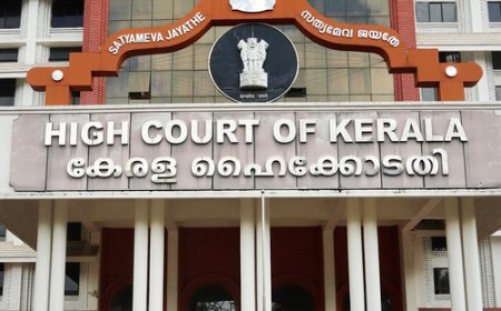Kerala HC allows two more MSC Elsa 3 crew members to return to their homeland