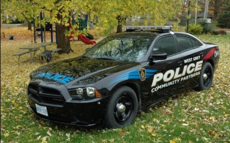 Canadian police arrests 17 members of international criminal group targetting South Asian community 