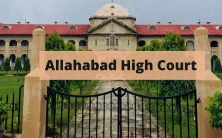 Allahabad HC to Police: Investigate Crimes, Not Marriages; Calls Cops 'Nosy Parkers'