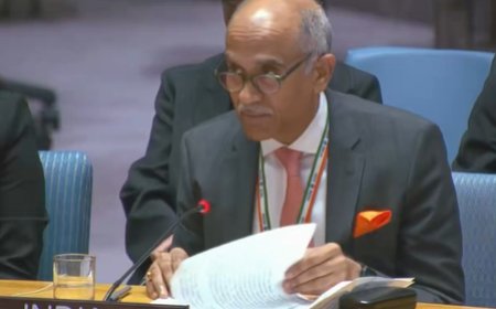 India reaffirms strong support for Palestine, backs two-state solution at UNSC