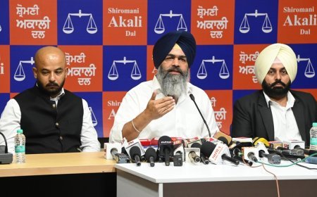 Parambans  Romana states he had voluntarily withdrawn his application to enter Canada
