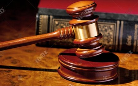 As Punjab Sees Crackdown on Protesters, Bombay High Court Upholds Citizens’ Right to Dissent