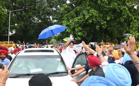 Bhagwant Mann trying to divert attention from his sacrilegious conduct against the Guru Sahiban: Sukhbir  Badal