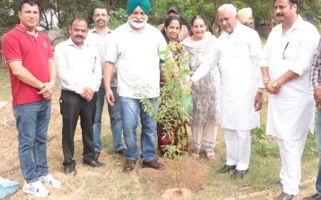 Cabinet Minister Barinder Kumar Goyal kick starts 'Mission Hariyali 2026