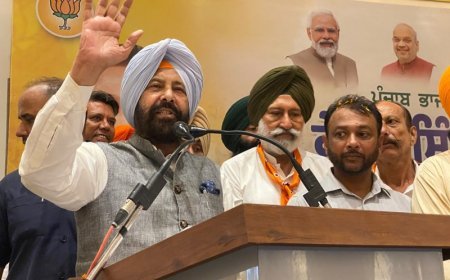 Punjab Has Been Turned into 'Dharna-land'; Law and Order Has Completely Collapsed: Dhillon 