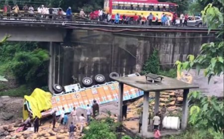 Two Dead After 16-Wheeler Falls into Gorge in Kangra; Driver Absconds