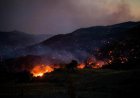 Wildfire in Netherlands not fully extinguished, but under control, says authorities