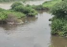 Delhi: Youth swept away in flooded Sarita Vihar drain while returning home; search ops on