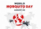 World Mosquito Day 2026: As Monsoon Fevers Return, Mukh Mantri Sehat Yojana Helps Punjab Patients Access Cashless Care