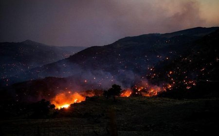 Wildfire in Netherlands not fully extinguished, but under control, says authorities