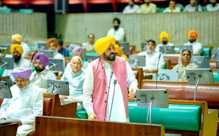 Punjab Govt Stands With Gen Z; Vidhan Sabha Raises Issue of Atrocities Against Youth