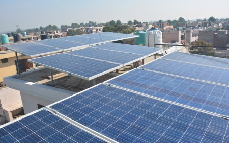 City Beautiful shines bright with full Solar Government coverage