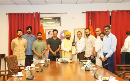 With 450 players, Punjab to host IPL-style T20 league from Aug 30 