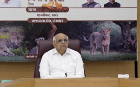 Lion conservation in Gujarat aimed at protecting entire ecosystem, says CM Patel