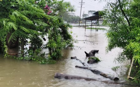 Rain continues across MP for third day, disrupts normal life; more showers likely