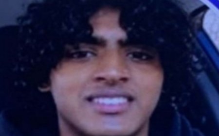 Indian-American teen murders mother, brother in US home; searched ideas about killing family