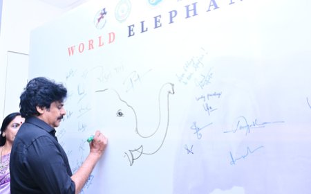 'Kumki' elephants reduced human fatalities in Andhra Pradesh by 70 pc: Pawan Kalyan