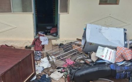 3 wildlife hunters killed in K’taka forest encounter; Shivakumar orders magistrate inquiry