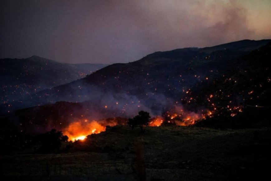Wildfire in Netherlands not fully extinguished, but under control, says authorities