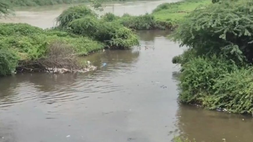 Delhi: Youth swept away in flooded Sarita Vihar drain while returning home; search ops on