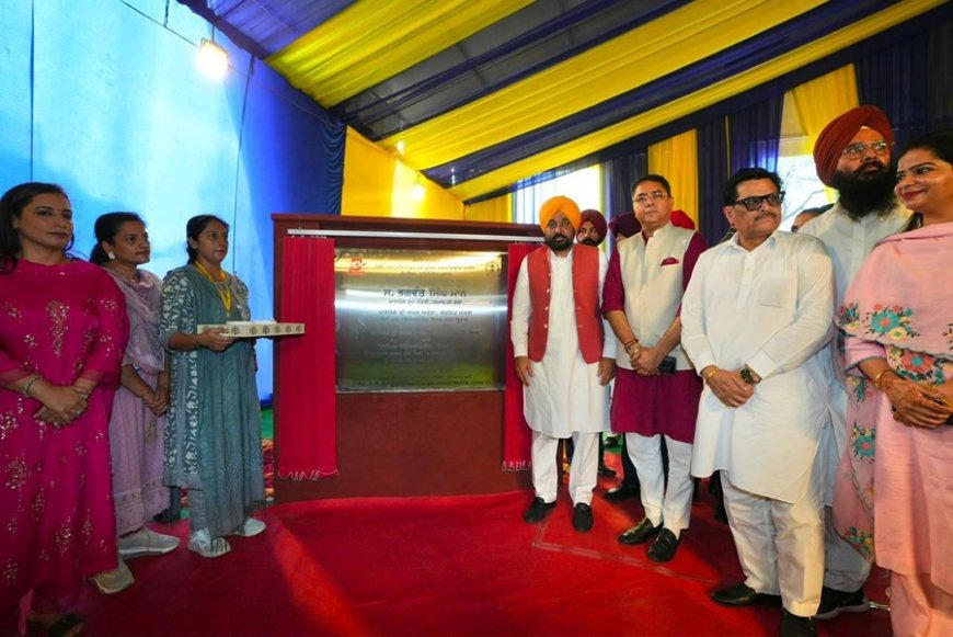 Budha Nallah To Be Cleaned Soon, CM Bhagwant Singh Mann Lays Foundation Stone Of Compressed Biogas Plant In Ludhiana's Haibowal