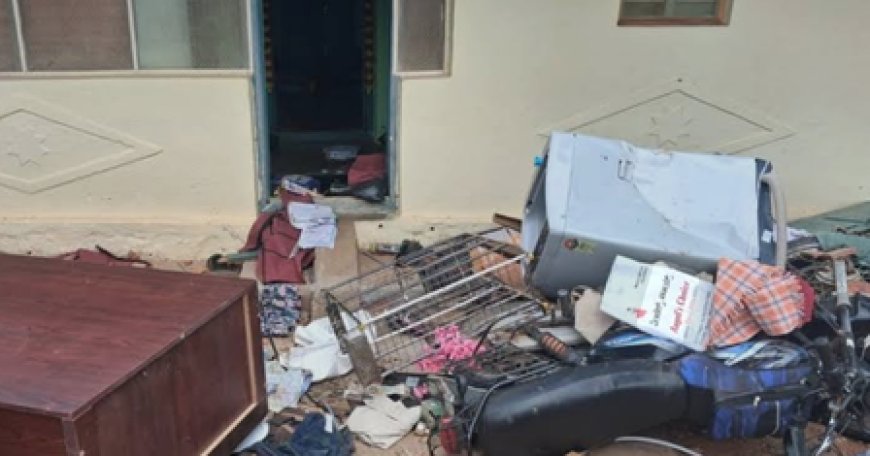 3 wildlife hunters killed in K’taka forest encounter; Shivakumar orders magistrate inquiry