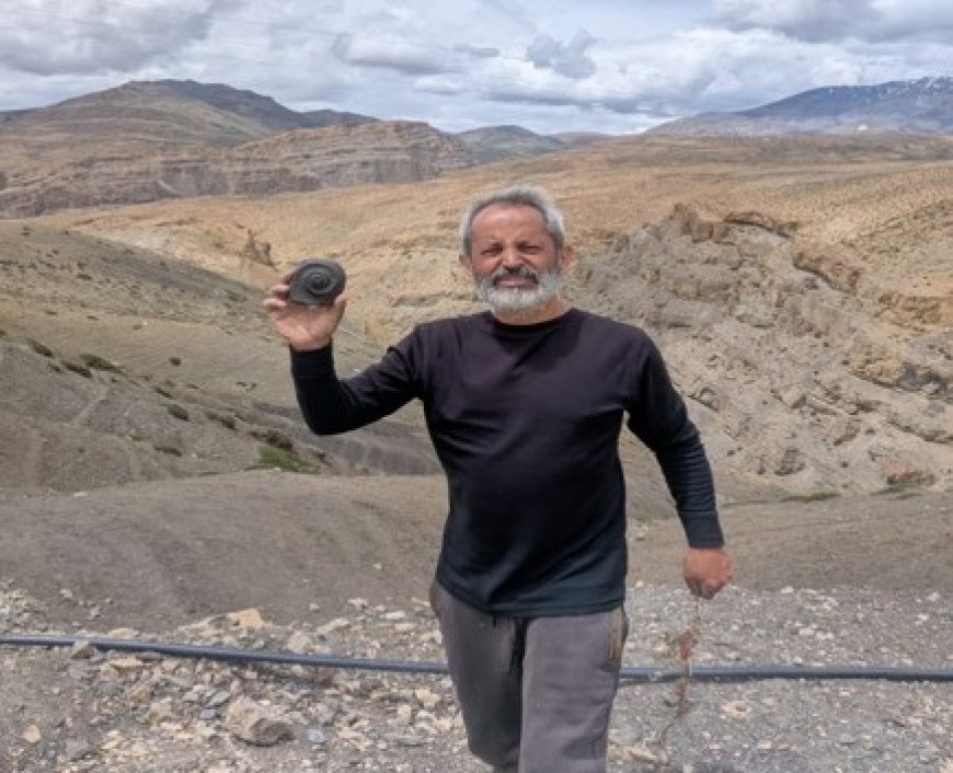 Time Capsules in Peril: Dr Ritesh Arya sounds alarm for Langza’s ancient Fossil Treasures.