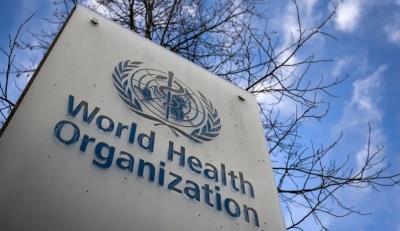 WHO sacks top Covid origin investigator over sexual misconduct