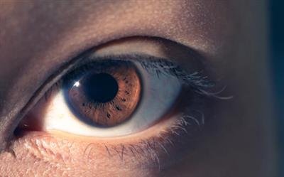 Unique brain connectivity patterns found in people born blind