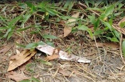 Jilted lover stabs K'taka woman for refusing marriage proposal