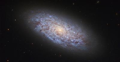 Indian scientists find data 'fully consistent' for dwarf galaxies to host black holes
